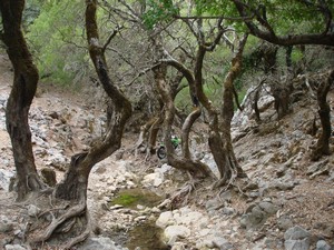 Bilder kreta-motorradtouren (16)
